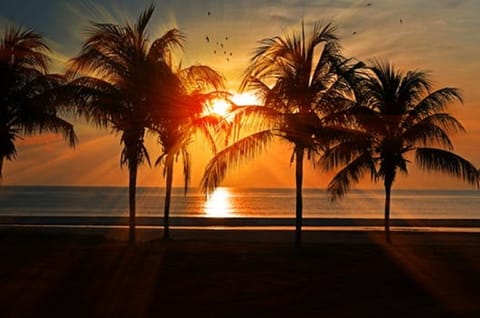 Gorgeous Sunset on Venice Island