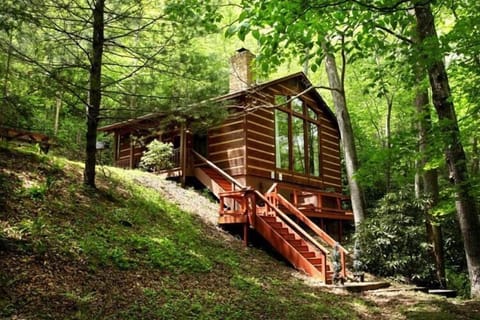 Rushing Waters Cabin- Back Entrance