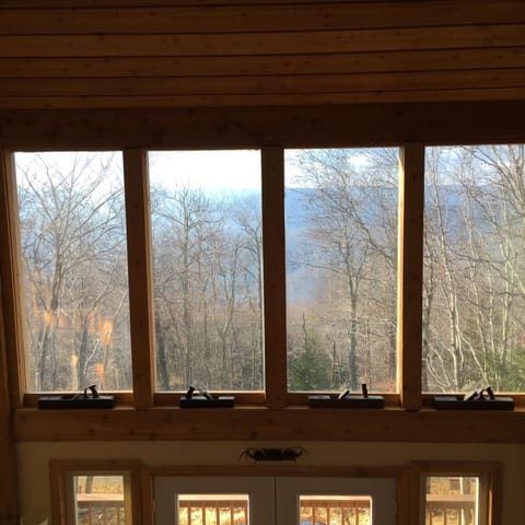 mountain view through front two-story windows