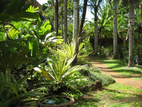 Tropical gardens ( on site )