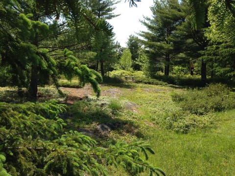 view from outside door