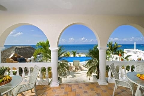 Terrace view. Tiny palms my dad planted, after hurricane Wilma, are now tall.