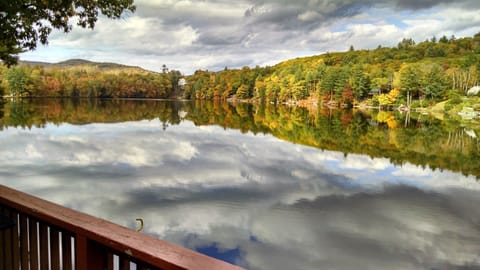 View from the upper deck (fall)
