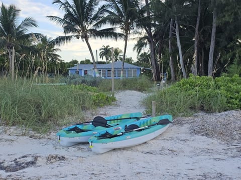 A relaxing kayak trip awaits.
