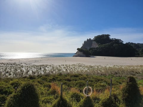View from deck.