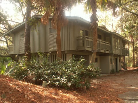 8 Cedar Waxwing - A Beautiful Beach Hideaway!