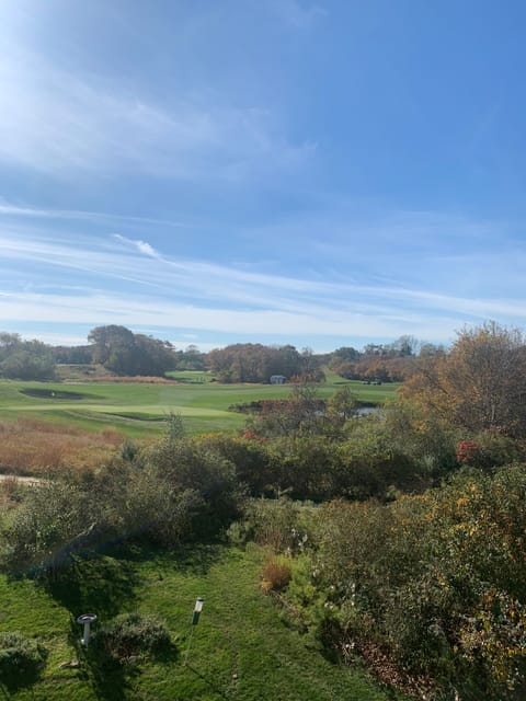View from the deck