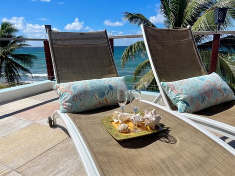 Spacious terrasse with 2 beach beds, BBQ and table with chairs