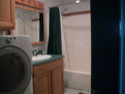 full bath downstairs with washer/dryer