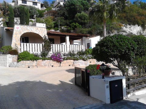 Spring Front View
