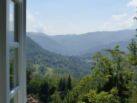 view from bedroom window