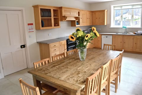 Kitchen and dining table (seats 12).