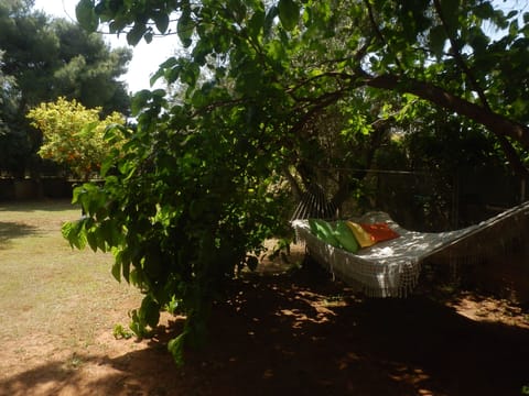 View of the garden with the hammock.