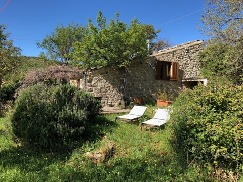 The House of the Almond Tree (4 guests)
