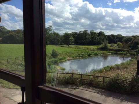 View from the lounge