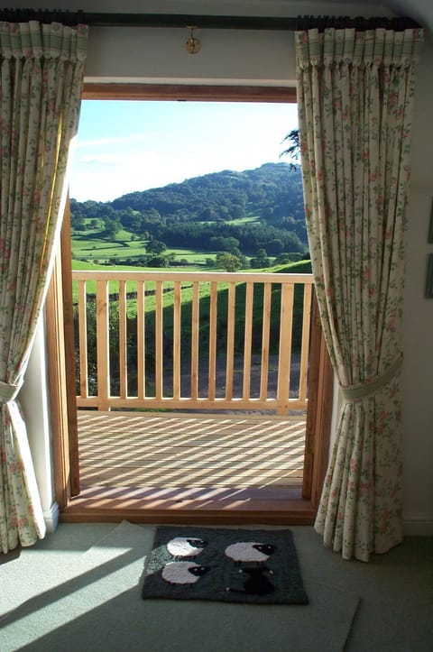 Room with a view (master bedroom balcony)
