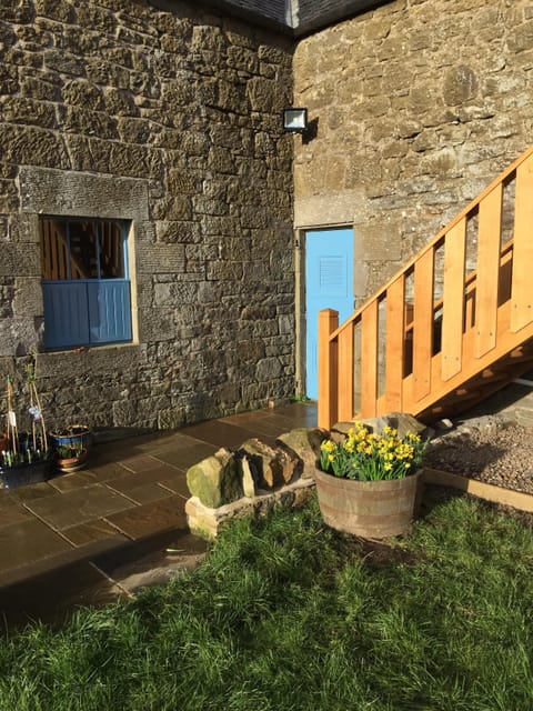 Patioin the evening sun