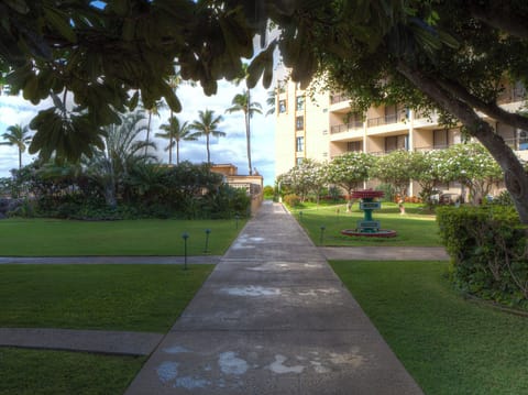 Grounds and walkway to pool
