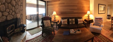 The cozy living room.