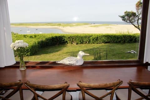 View from dining room table in the "Little House", just 30' from the edge