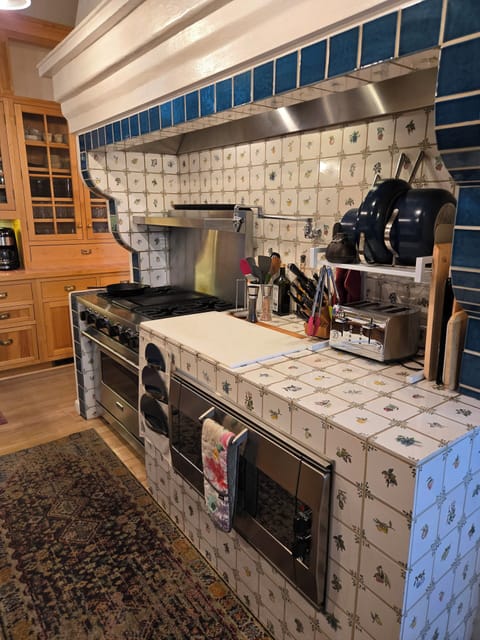 Viking and Gaggenau ovens