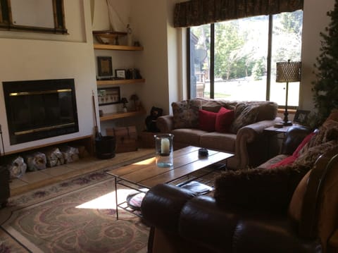 The main level living area