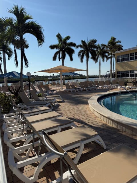 Comfortable lounge chairs all around the pool deck. 