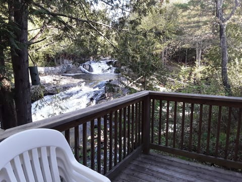 View from the deck