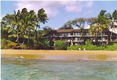 View of Building from Beach