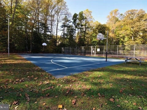 Sport court