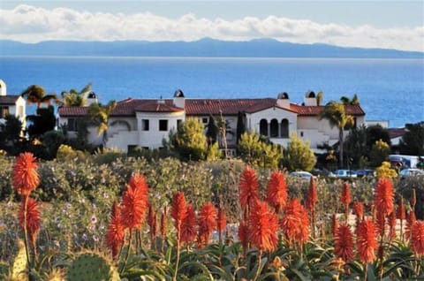 3 Bedroom Luxury Oceanside Casita - Upstairs Awesome Ocean Views Close to Pools