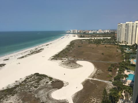 Living Room/Balcony View