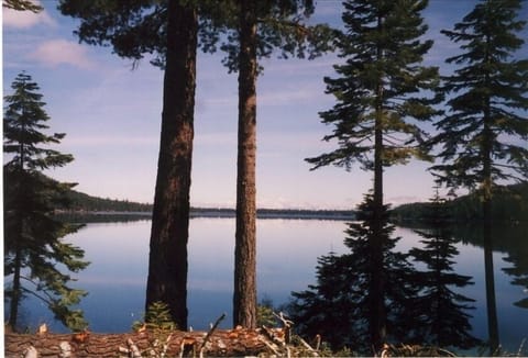 View from the deck