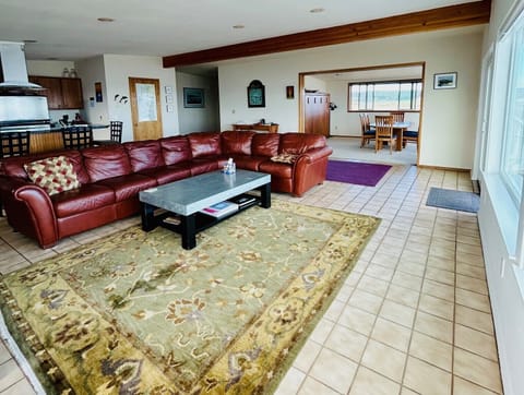 Great room and dining room (closes off with pocket doors & queeen wall bed). 