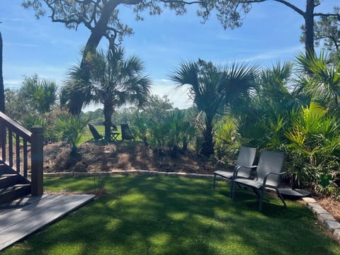 Backyard on the marsh