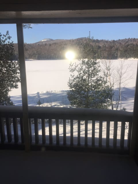 View from 2nd floor screened porch of iced over lake.
