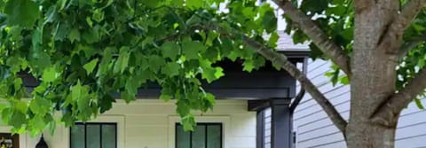 Welcome to our East Nashville Gem, a Cozy Home with Mid-Southern Hospitality.