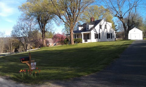 Spring time at Carol's Cottage. 