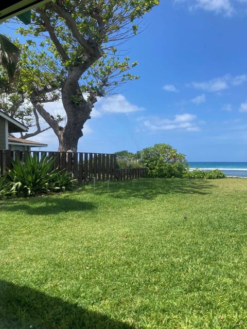 Tropical yard, lawn and ocean view