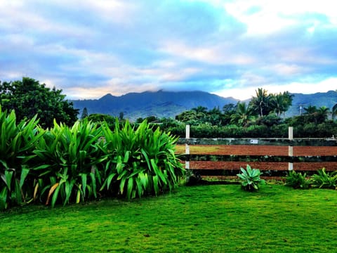 Pastoral View of the Mountains from our street