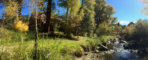 Riverhouse overlooks the back yard and 300ft of Cottonwood Creek