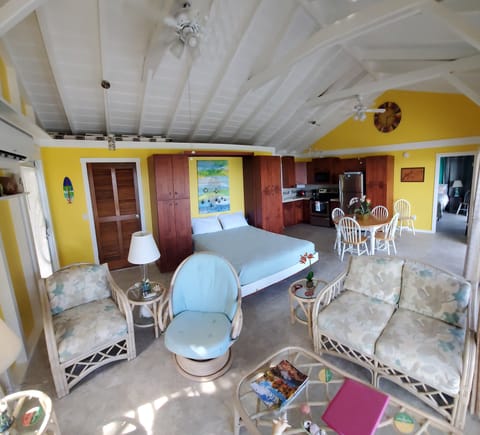 Living Room/Kitchen/Dining with Murphy bed down