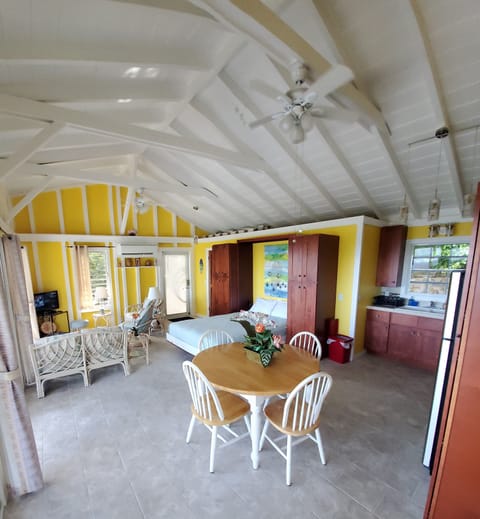 Kitchen/Dining/Living Room with Murphy bed down