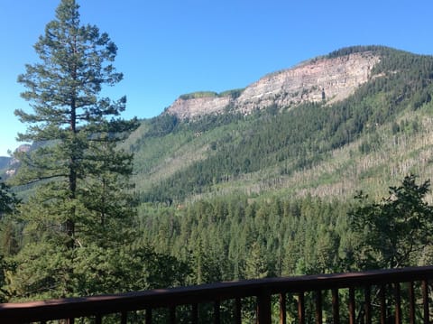 summer from the deck