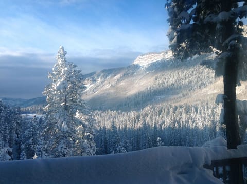 winter view from the deck