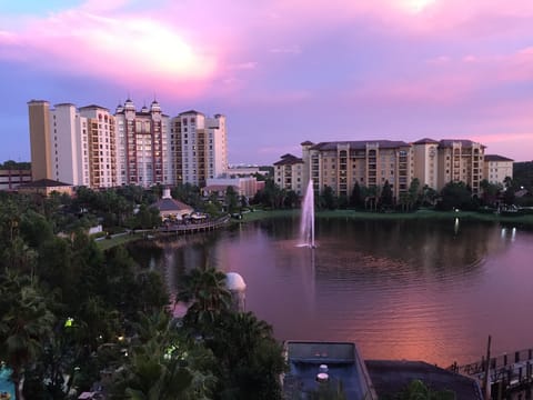 Amazing Sunsets
