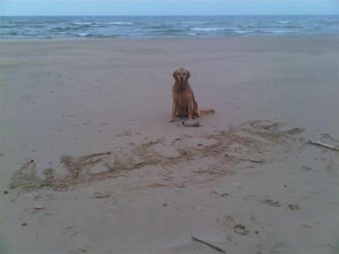 Welcome to Blue Bird Cottage!!
