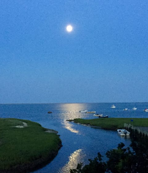 The Moon Rising