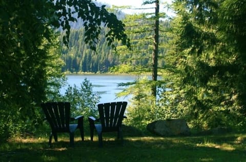A place to just sit and listen to the loons at Spoon Lake