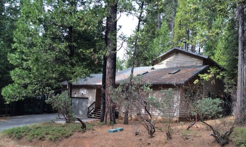 Our 'Cabin for all Seasons' in the Blue Lake Springs woods.
